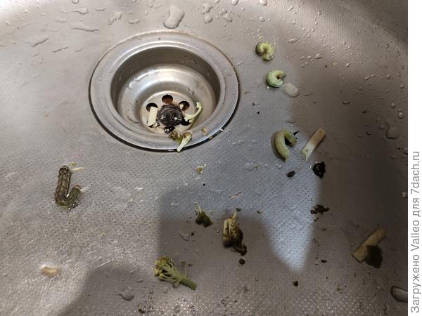 Это в одном кочане...