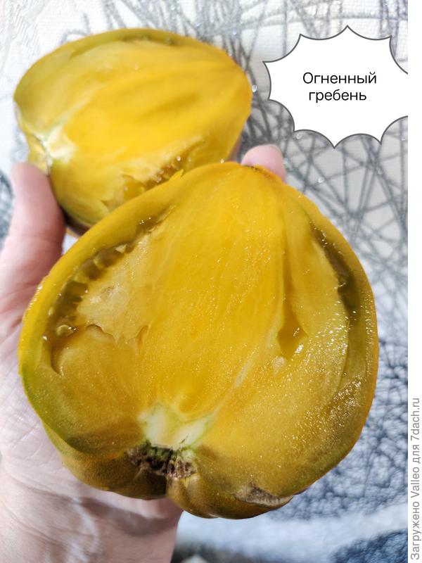 Пополняется моя коллекция томатов с горчичной мякотью😋