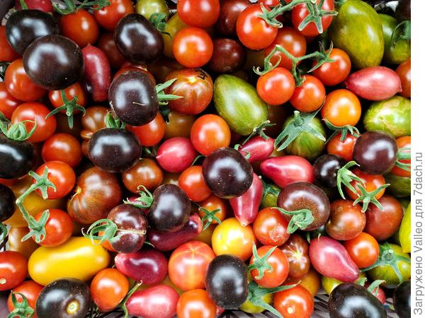 Мои бусины🤗