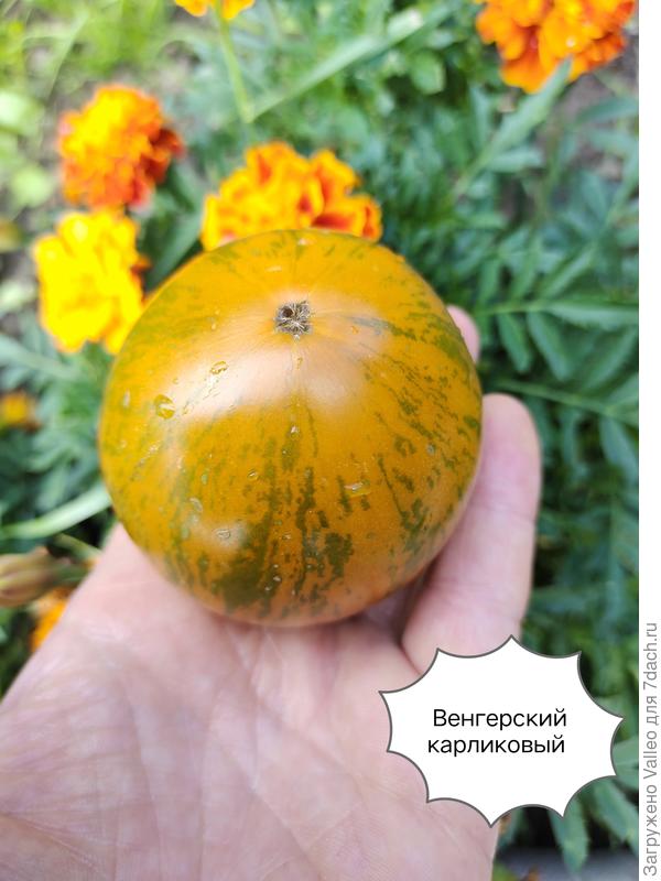 Вот он, снаружи