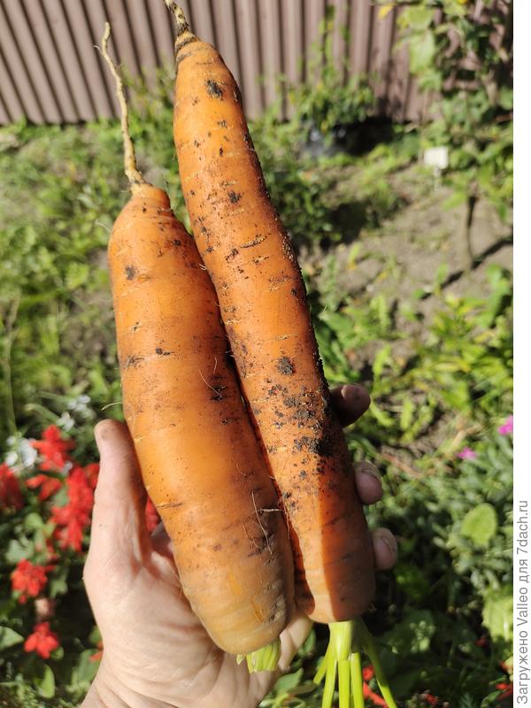 Сладенькая получилась)