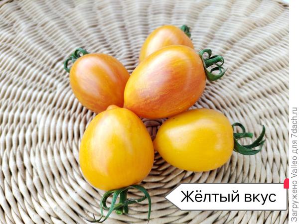 На первый взгляд есть что-то схожее