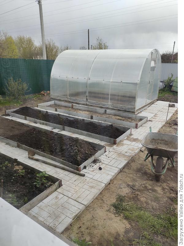 Первые грядки