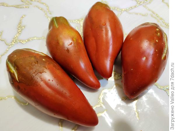 Первое время расстраивалась, что плоды трещат. Думала, что я что-то не так делала. Оказалось, что это особенность такая)