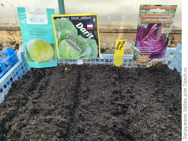 От Мегафона не откажусь никогда. Всегда получается, сочные, нежные, хрустящие листочки)