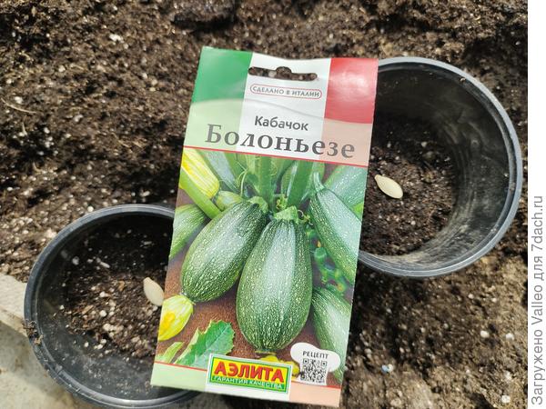 Вот такого красавчика посеяла)