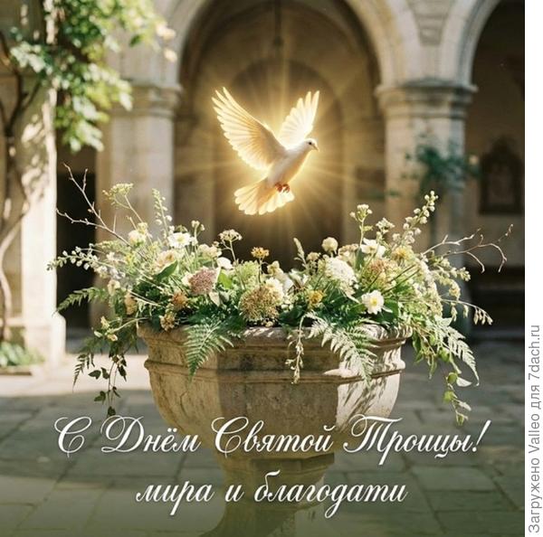 С Днём Святой троицы 🙏🏼