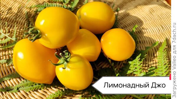 Сладкие лимончики