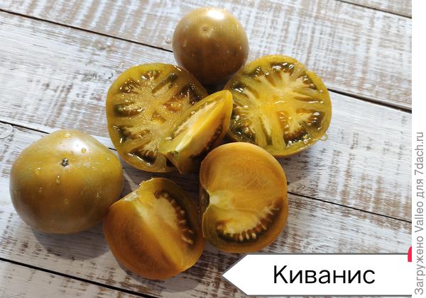 Моя горчичная любофффь