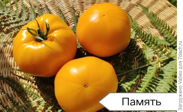 Память