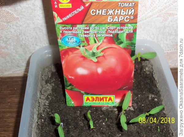 Первые листья