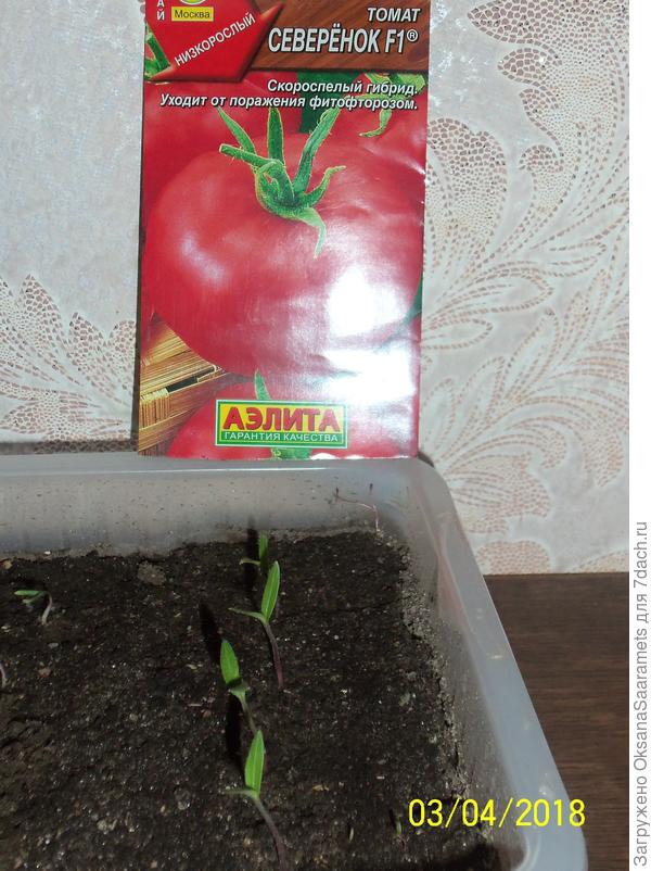 Всходы