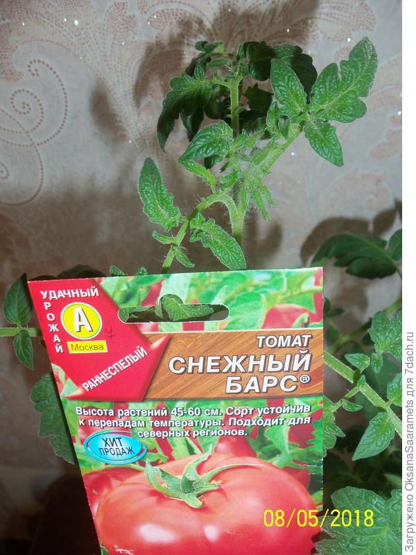 Скоро зацветёт