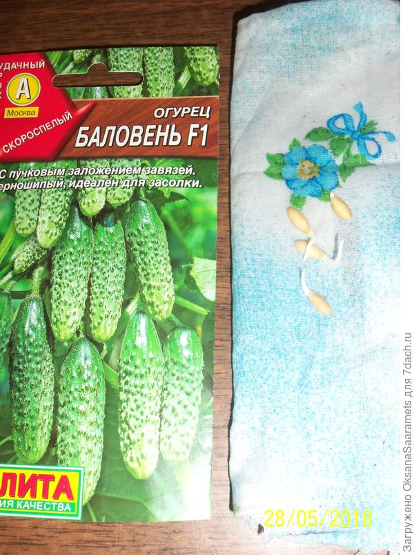 Семена с клювиками
