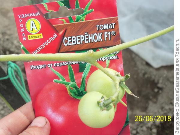 Такой вот Северёнок!