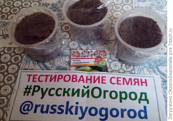 Посев произведён