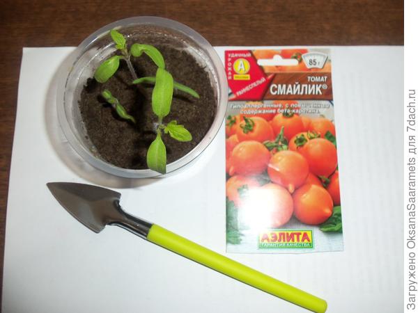 3 апреля - первые настоящие листики на "Смайлике"