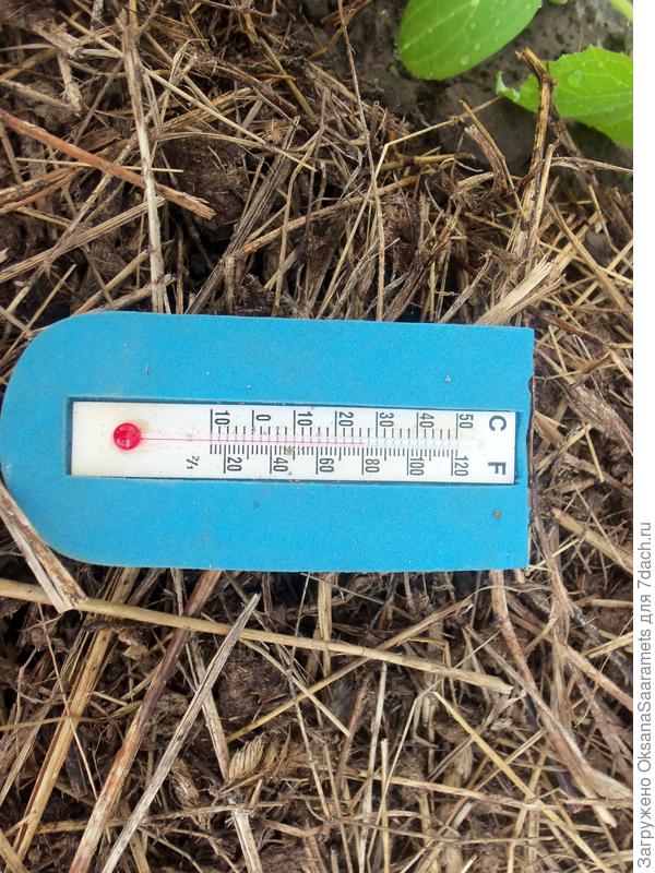 Температура