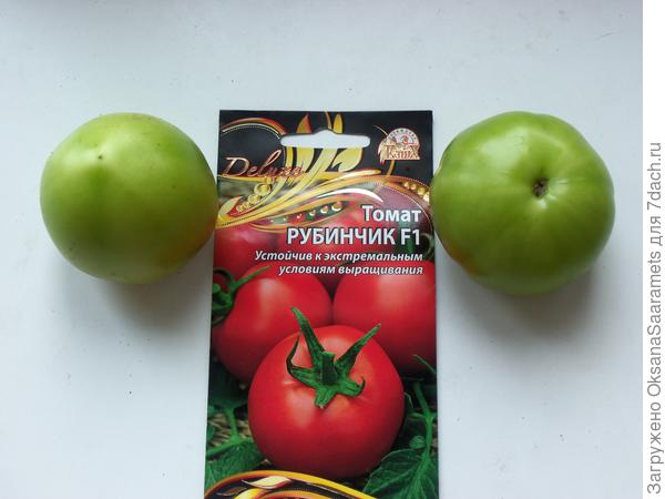 Такие разные Рубинчики