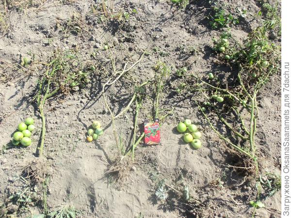 Удаление растений