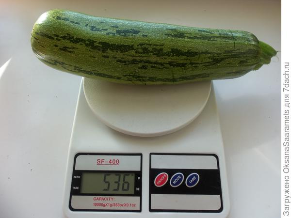Вес 1