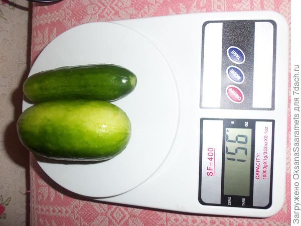 Такие разные