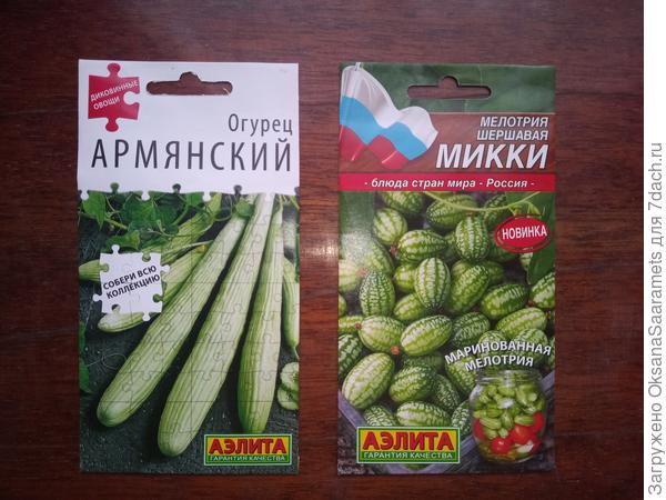 Обязательно вырастить