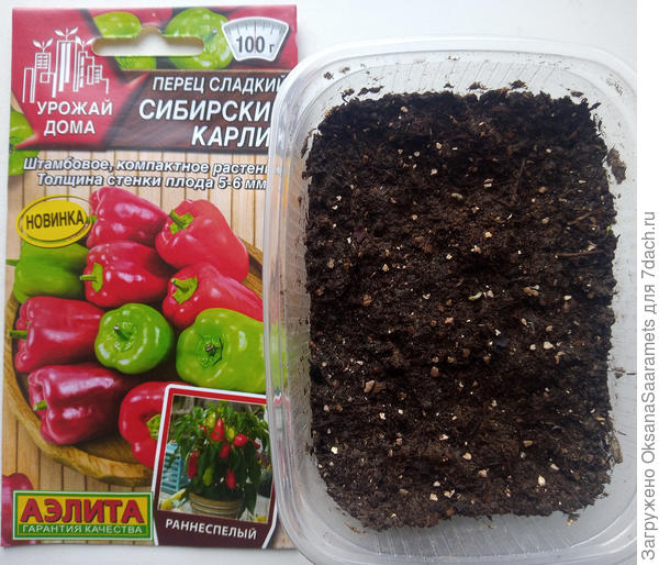 Первые петельки