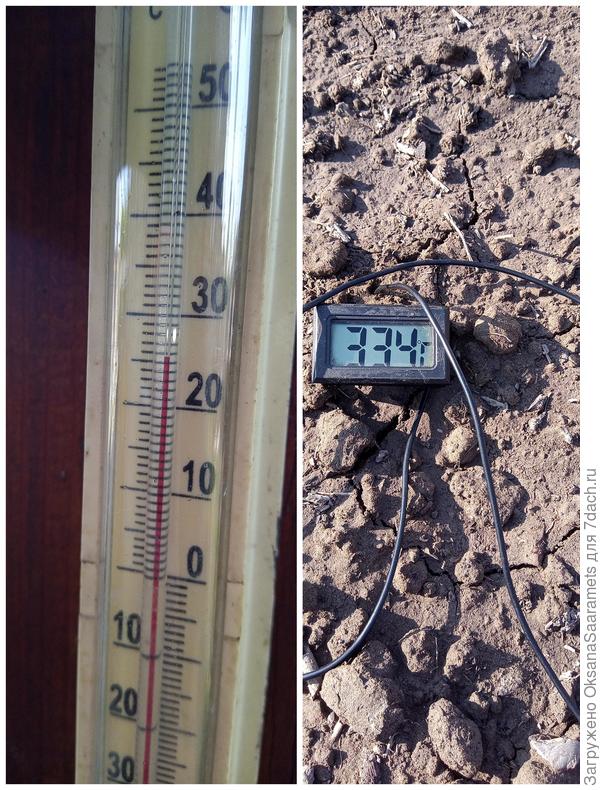 Температура воздуха и почвы перед посевом