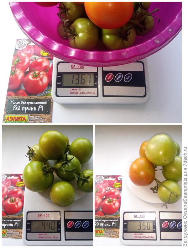 Основной сбор