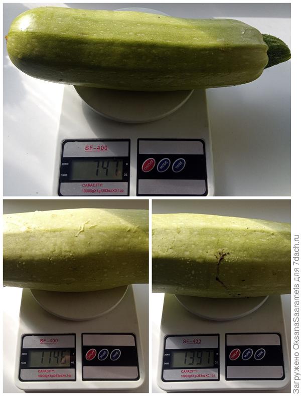 Пример взвешивания плодов