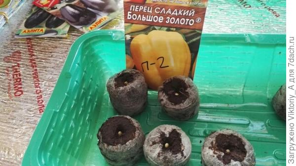 Таблетки с семенами