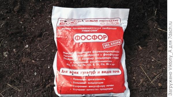 гуми оми фосфор