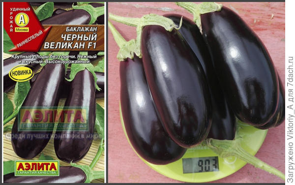 красавцы