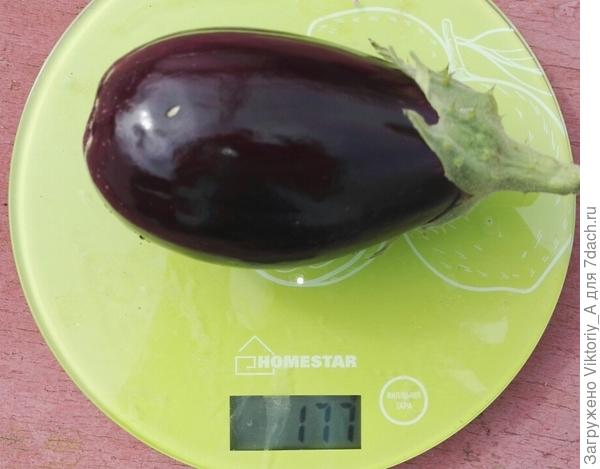 второй плод