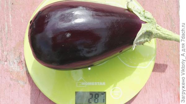 первый плод