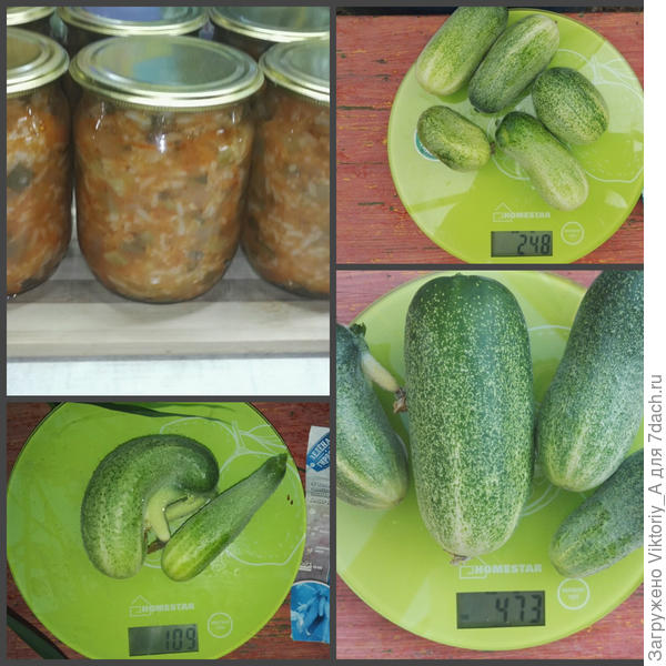 заготовки