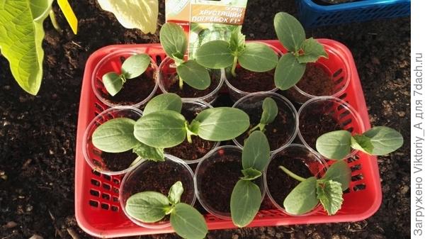 первый лист