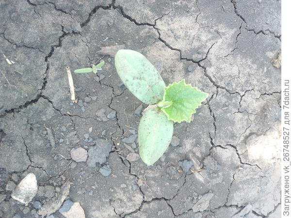 первый лист