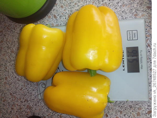 первый урожай