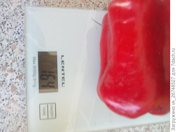 вес одной перчины