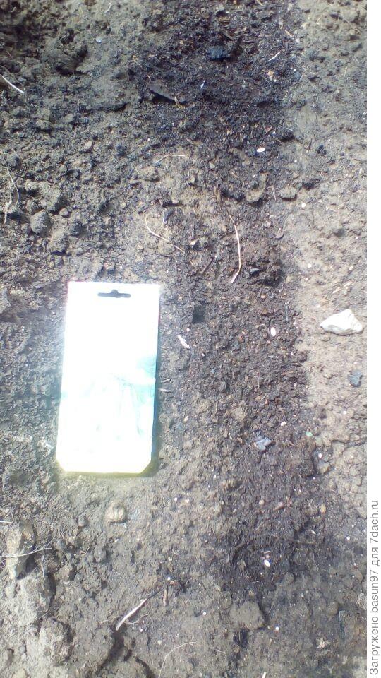 Посев в бороздки