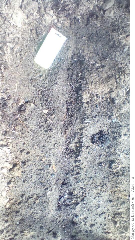 Посев в бороздки