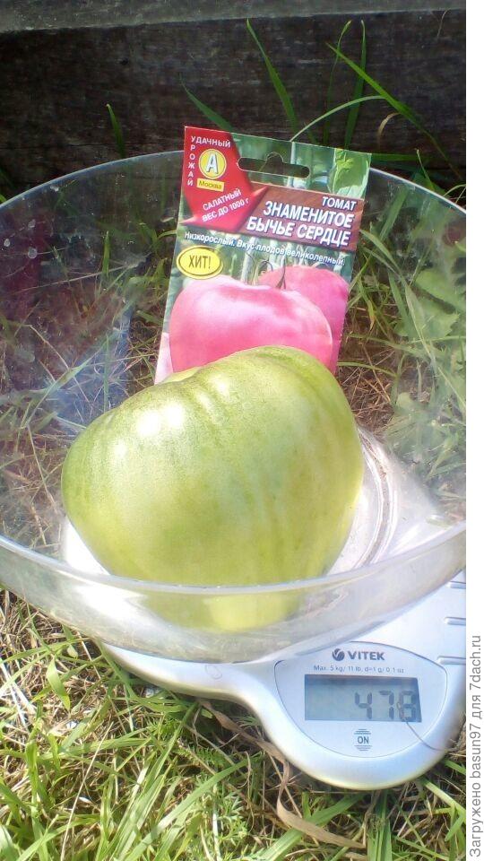 Самый крупный из этого сбора