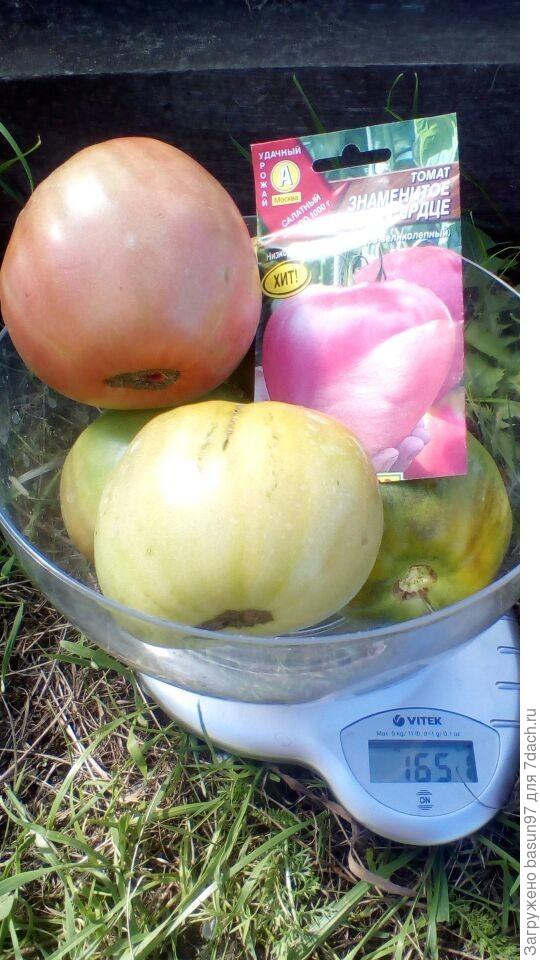 11.08.18 Знаменитое Бычье Сердце