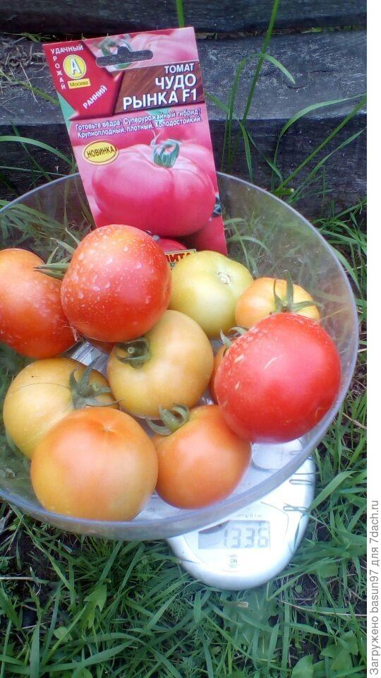 Чудо Рынка - откр. гр.