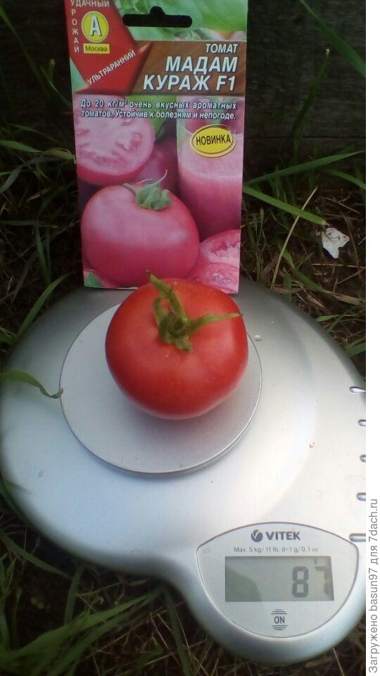 Самый крупный - Мадам Кураж