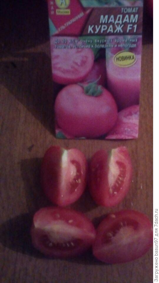 Дегустация Мадам Кураж