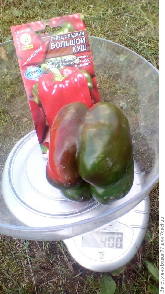 Самый крупный