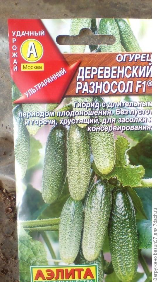 Посев в теплице